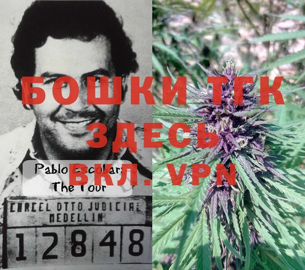 прущий лед Аркадак