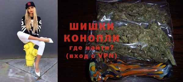 гашик Новодвинск